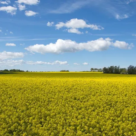 Ferienwohnungen Göhren Goehren  Exterior foto